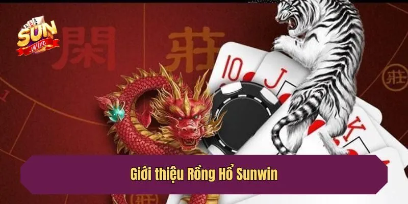 Giới thiệu Rồng Hổ Sunwin