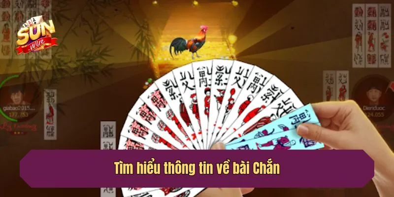 Tìm hiểu thông tin về bài Chắn